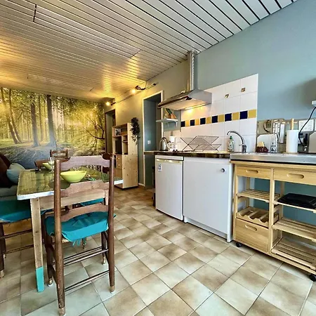 Villa Maison 2 Pièces 3 Couchages Pierre D'oléron Spo000-061