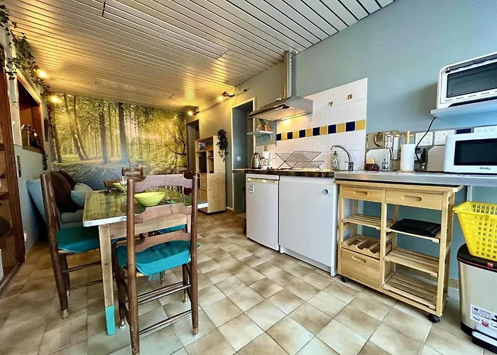 Villa Maison 2 Pièces 3 Couchages Pierre D'oléron Spo000-061