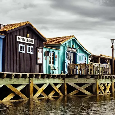 Maison 2 Pieces 3 Couchages Pierre D'oleron Spo000-061 Villa *